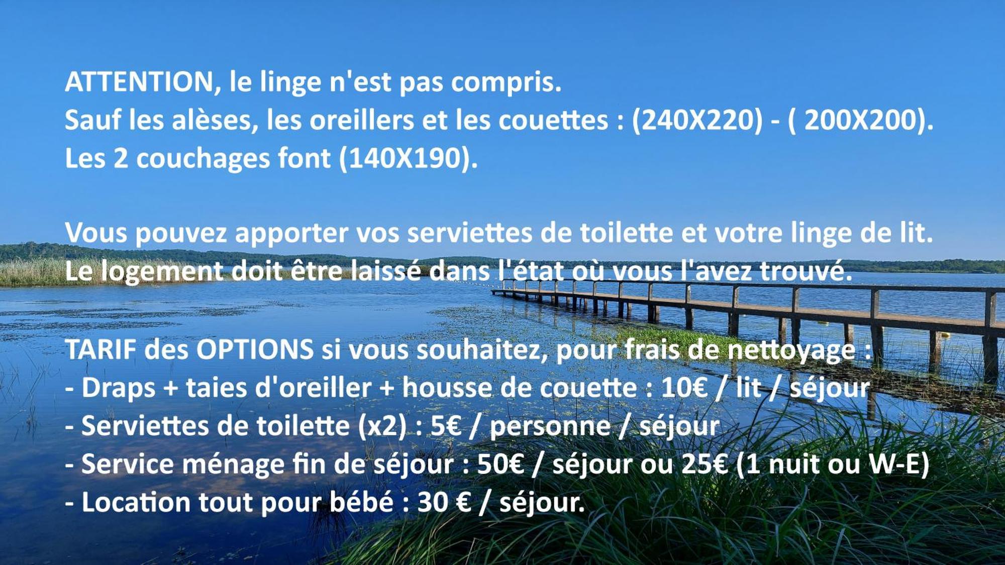 Grand 3 Etoiles - Mimizan-plage - 1 A 4 Pers - Confort - 6 Mn A Pieds De La * Mimizan